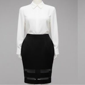 Ali & Kris Black Mesh Panel Pencil Skirt - Size Medium - Career to Cocktails